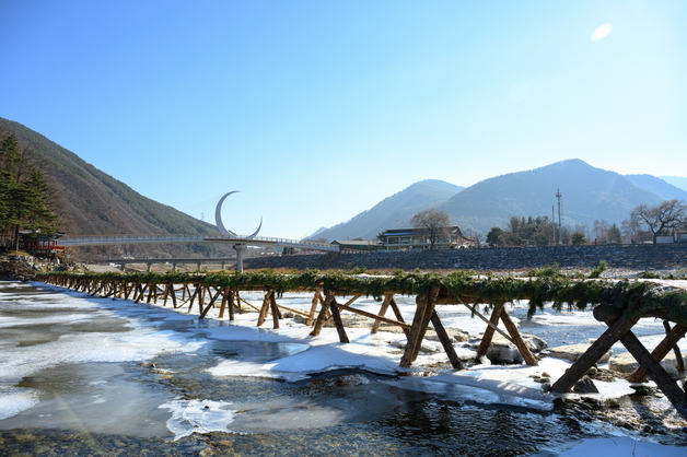 "섶다리 한번 건너보세요" 정선군, 여량면 아우라지에 재현