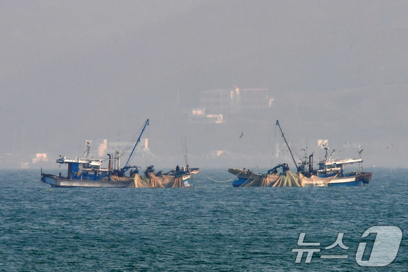 (포항=뉴스1) 최창호 기자 = 17일 경북 포항시 북구 영일대해수욕장 앞바다에서 멸치작업 선단이 그물을 당겨 올리고 있다. 2025.12.17/뉴스1