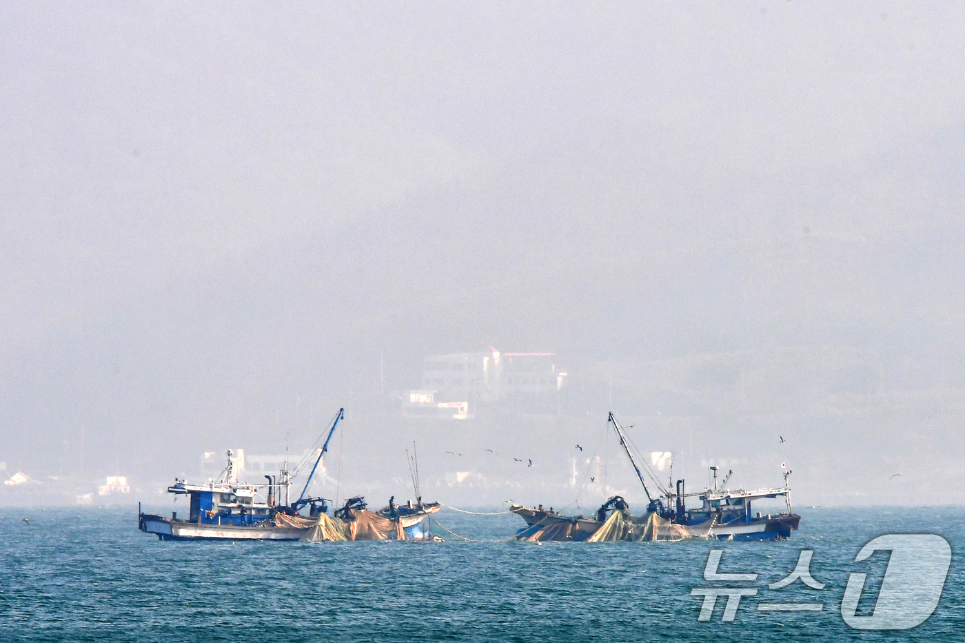 (포항=뉴스1) 최창호 기자 = 17일 경북 포항시 북구 영일대해수욕장 앞바다에서 멸치작업 선단이 그물을 당겨 올리고 있다. 2025.12.17/뉴스1