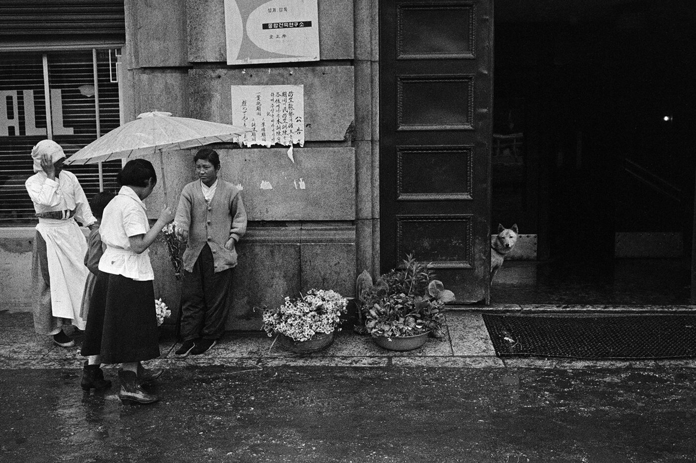 본문 이미지 - Han Youngsoo, 서울 종로 2가 Jongno 2-ga, Seoul 1959. ⓒ 2025. 한영수문화재단. All rights reserved (백아트 제공)
