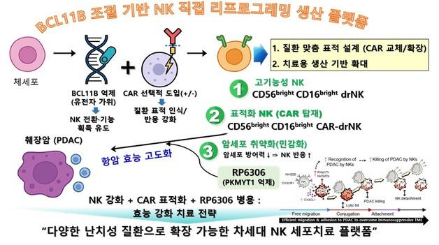체세포를 선천면역세포로 바꾸는 새로운 '면역세포 전환 기술' 개발