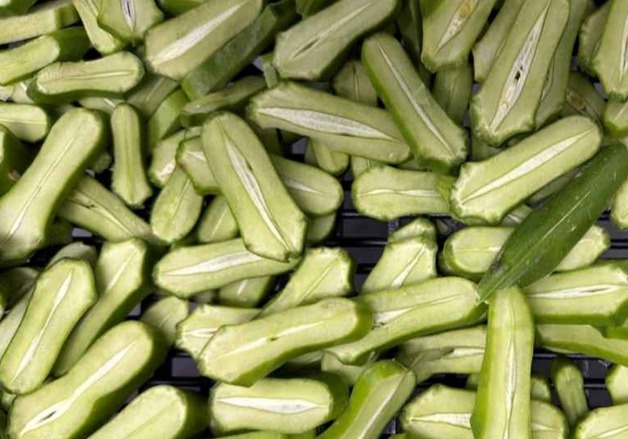 대상웰라이프, 어린도두꼬투리추출물로 첫 기능성원료 식약처 승인