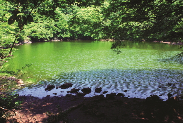 조천읍 물찻오름, 제주도 지정 습지보호지역 1호 선정
