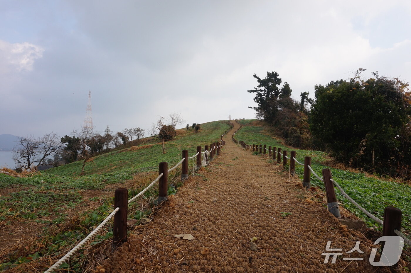 본문 이미지 - 모도 탐방로 ‘무지개 언덕’.2025.12.19/뉴스1 ⓒ News1 조영석 기자 