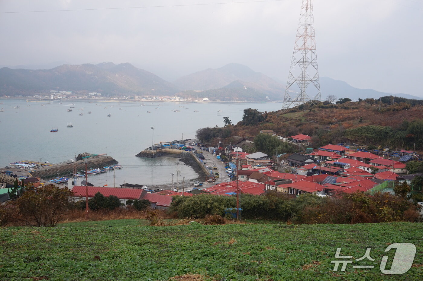 본문 이미지 - 탐방로에서 본 모도마을.2025.12.19/뉴스1 ⓒ News1 조영석 기자  