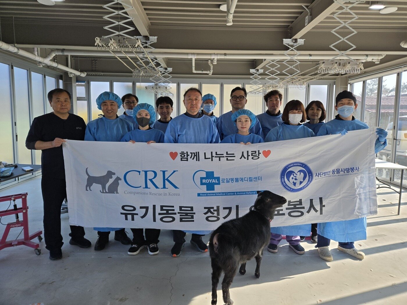 본문 이미지 - 로얄메디컬그룹 관계자들이 2025 마지막 수의료 봉사 후 단체 사진을 찍고 있다.ⓒ 뉴스1