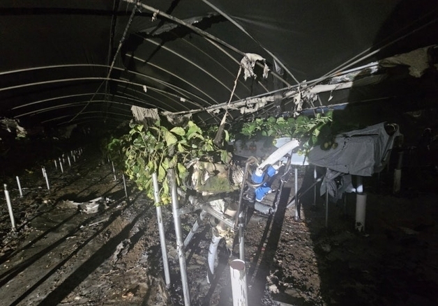 논산 관촉동 딸기 비닐하우스서 불…4600만원 피해