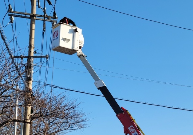 제주 고압전선 절단 사고로 452가구 정전…"보수 공사 중"