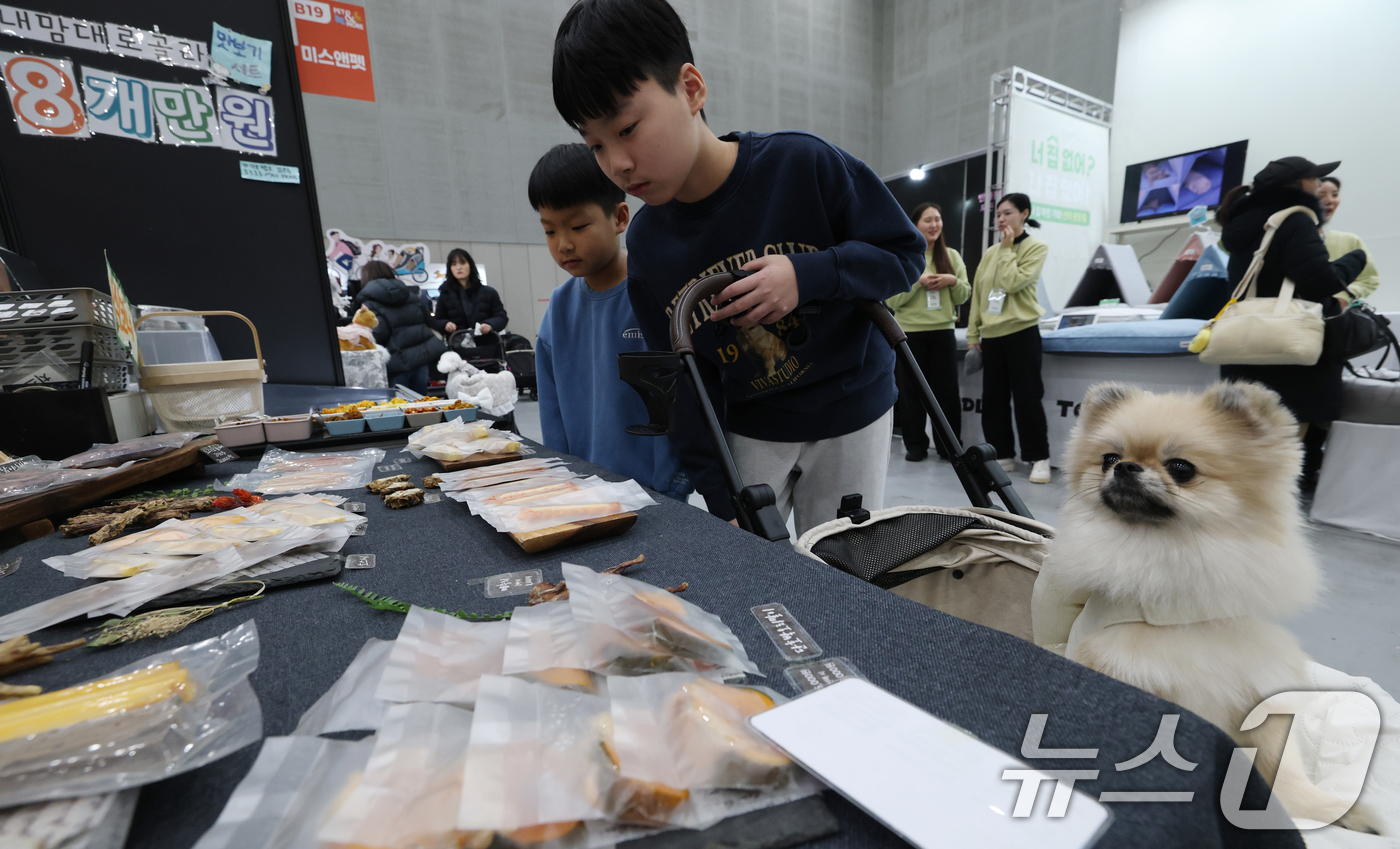 (수원=뉴스1) 김영운 기자 = 19일 경기 수원시 영통구 수원컨벤션센터에서 열린 '2025 PET&MORE 수원 반려동물 박람회'에서 반려견들이 다양한 용품을 체험하고 있다. 2 …