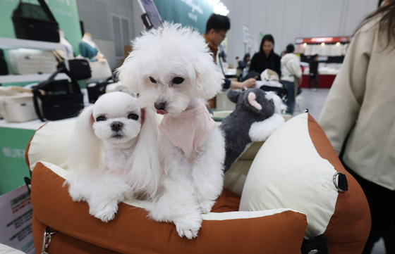 2025 PET&MORE 수원 반려동물 박람회