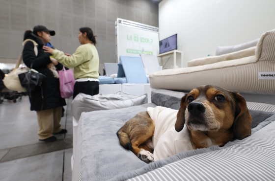 2025 PET&MORE 수원 반려동물 박람회