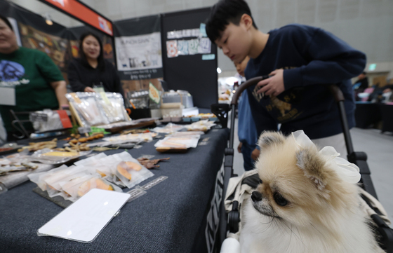 '어느 간식이 맛있을까?'