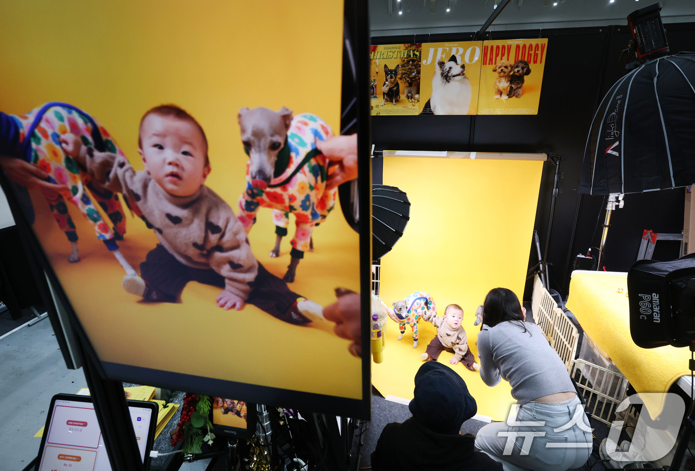 (수원=뉴스1) 김영운 기자 = 19일 경기 수원시 영통구 수원컨벤션센터에서 열린 '2025 PET&MORE 수원 반려동물 박람회'에서 한 아이와 반려견들이 사진촬영을 하고 있다. …