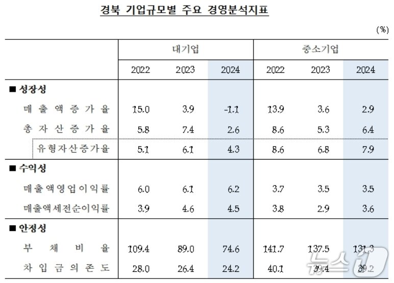 본문 이미지 - 경북 기업규모별 주요 경영분석지표(한국은행 대구경북본부 제공, 재판매 및 DB 금지)