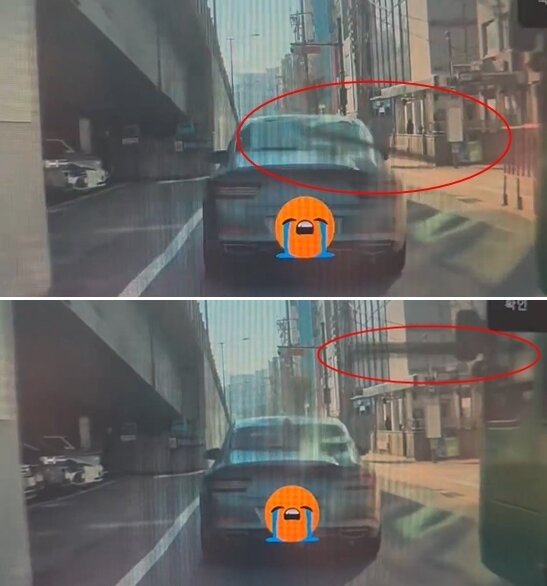 본문 이미지 - 보배드림 갈무리