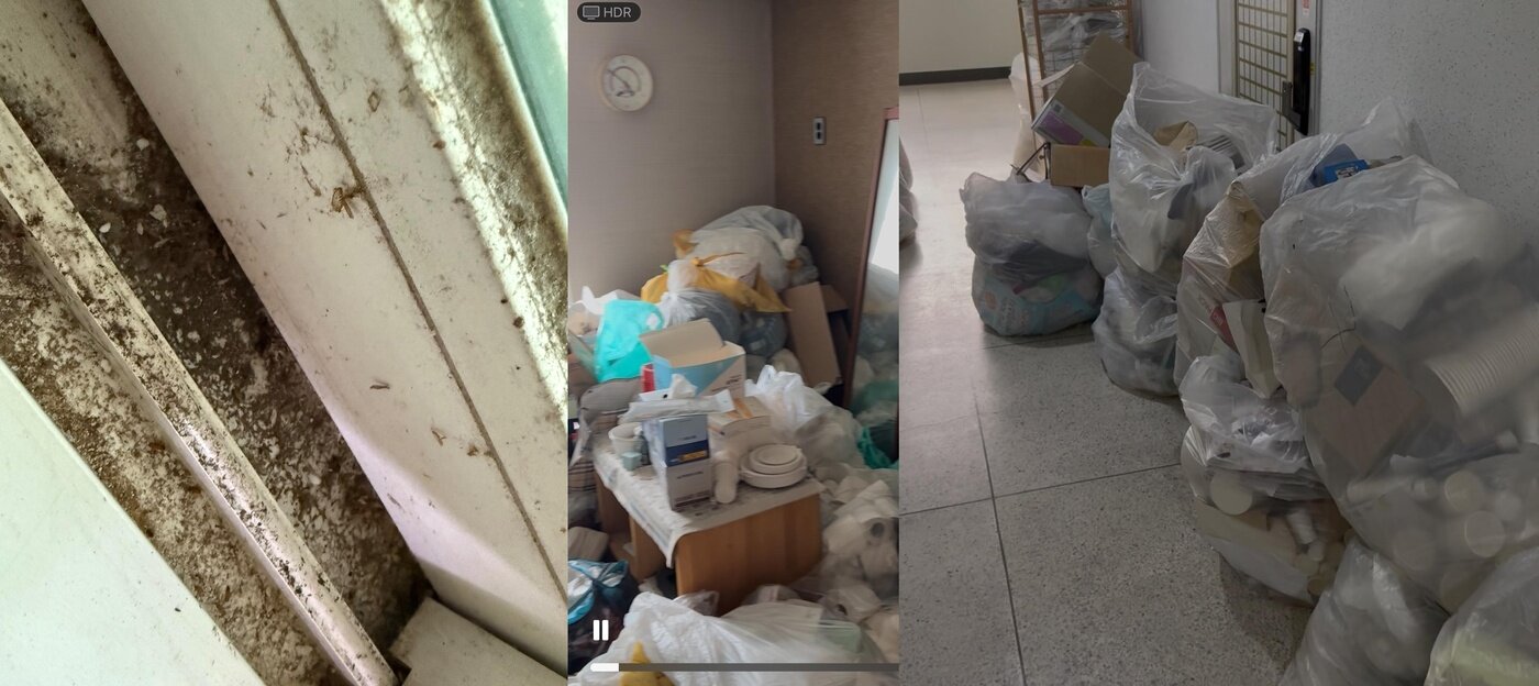 본문 이미지 - (보배드림 갈무리)