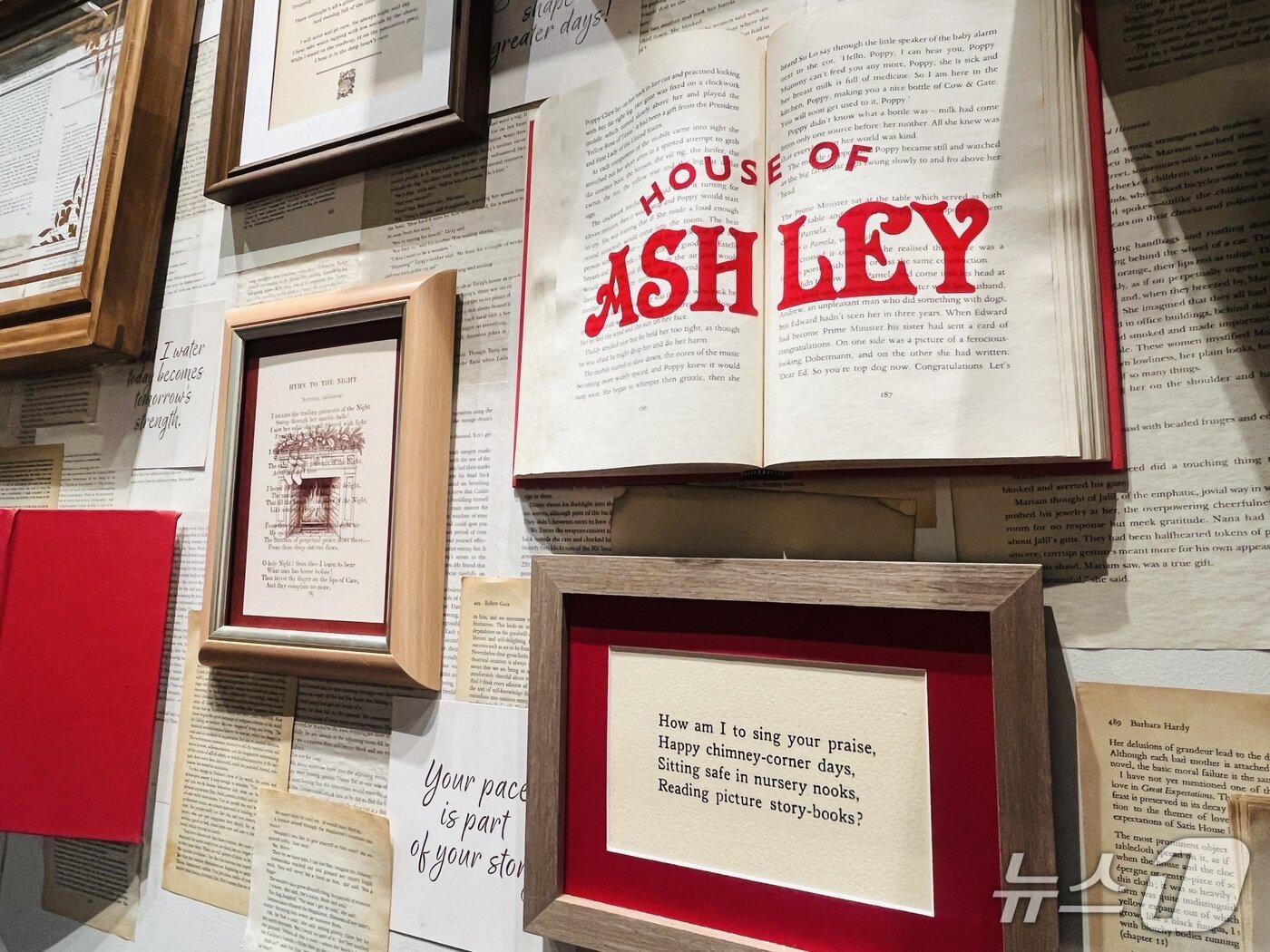 본문 이미지 - 애슐리퀸즈의 첫 팝업 '하우스오브애슐리' 벽 장식 2025.12.19/뉴스1 박혜연 기자 ⓒ 뉴스1