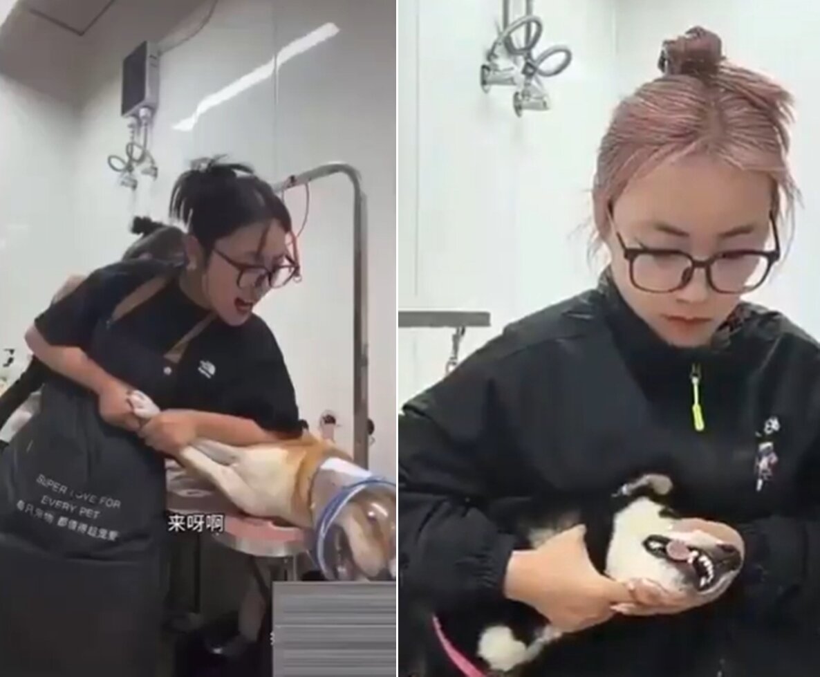 본문 이미지 - SNS 갈무리