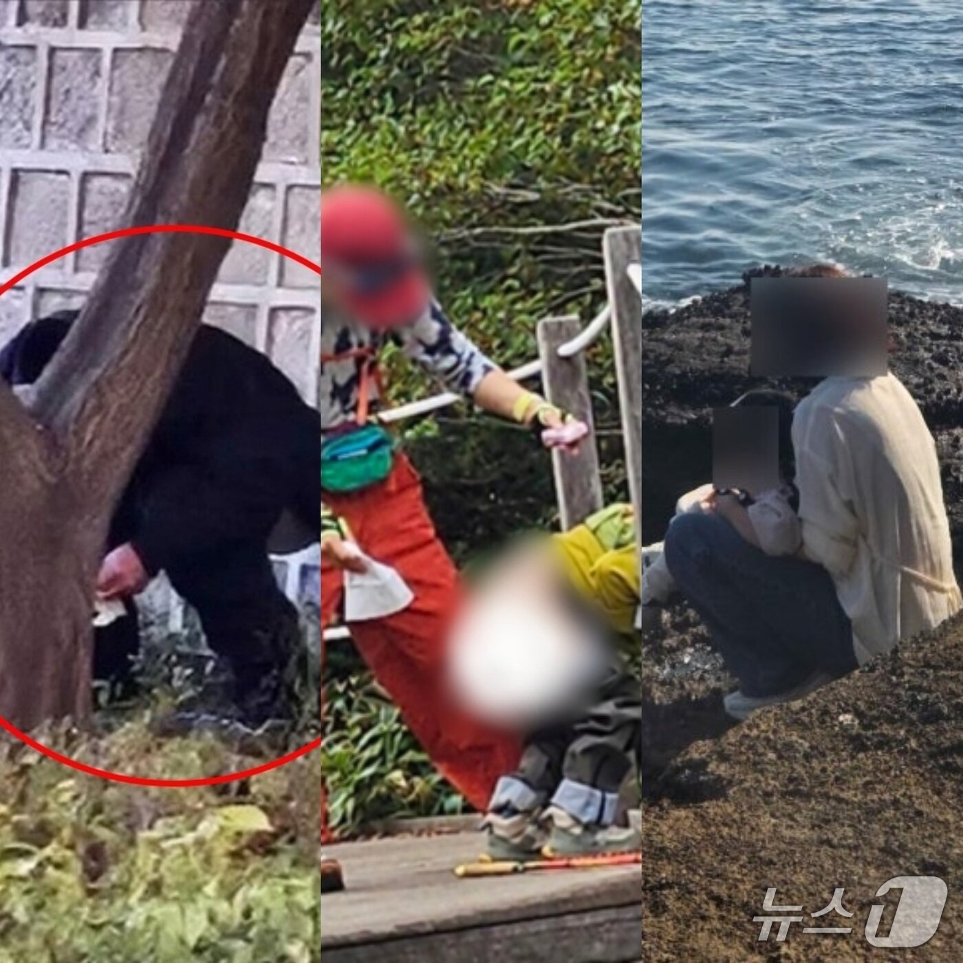 본문 이미지 - 왼쪽부터 국가유적 경복궁 돌담, 제주 한라산 국립공원, 천연기념물 제주 용머리 해안 등에서 중국인 관광객들이 대변을 보고 있다.&#40;뉴스1 사진자료. 재판매 및 DB 금지&#41;2025.12.1/뉴스1