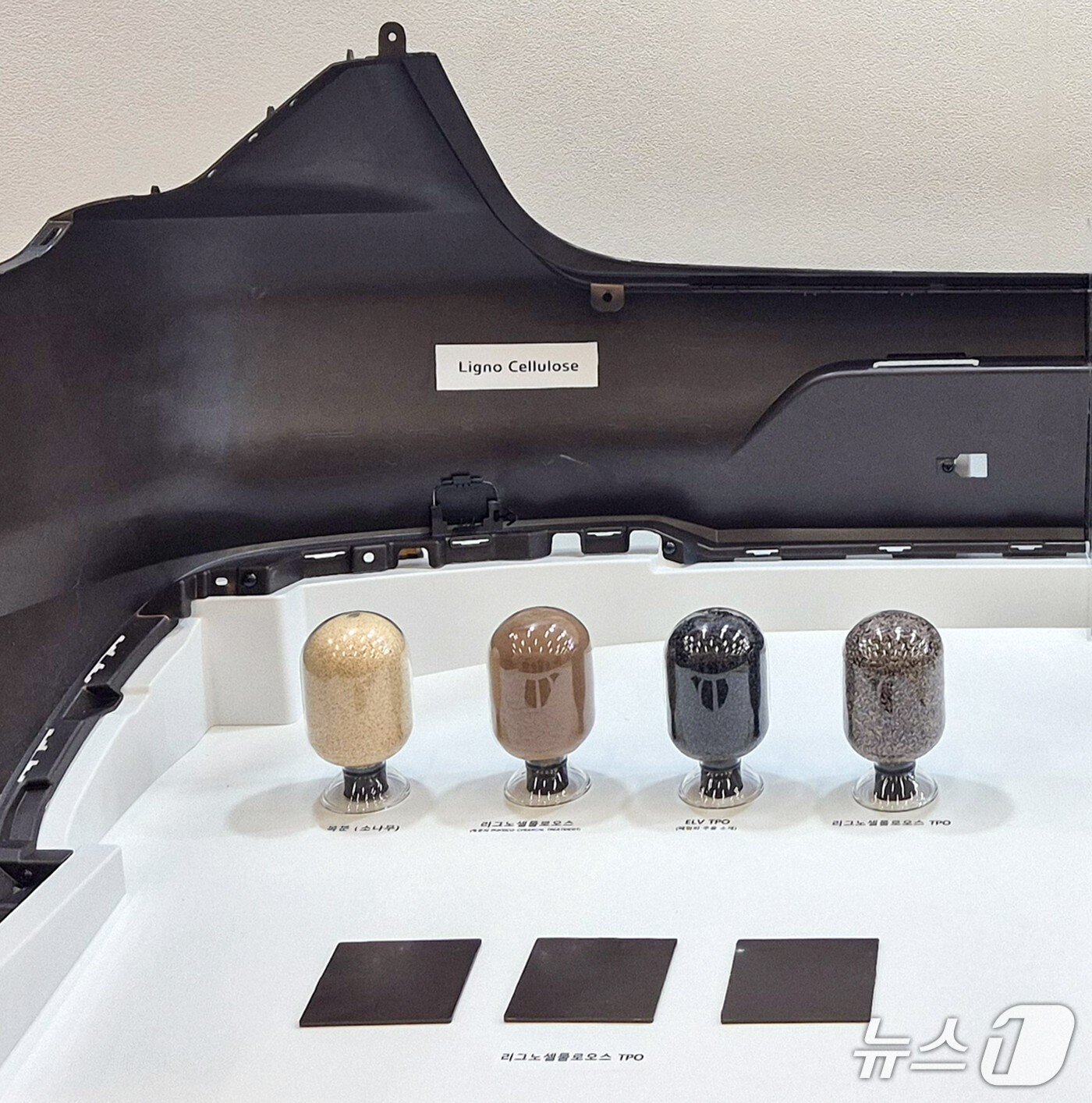 본문 이미지 - 리그노셀룰로스