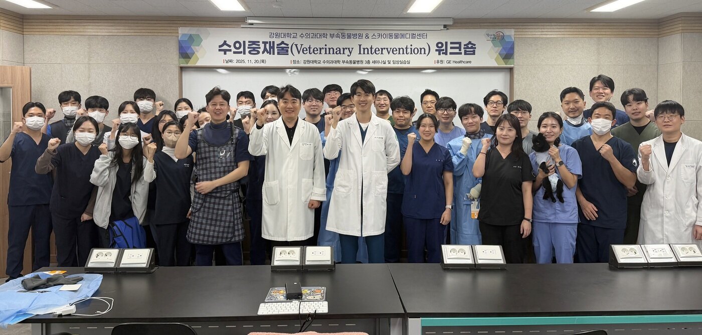 본문 이미지 - 스카이동물메디컬그룹 관계자들이 인터벤션 워크숍 후 기념 사진을 찍고 있다(스카이동물메디컬그룹 제공). ⓒ 뉴스1