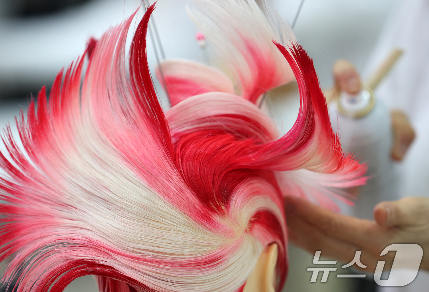 (대전=뉴스1) 김기태 기자 = 2일 대전컨벤션센터 제2전시장에서 열린 국제한국미용페스티벌 대회 참가자들이 기량을 겨루고 있다.올해는 중국, 대만, 마카오, 인도네시아, 베트남 등 …