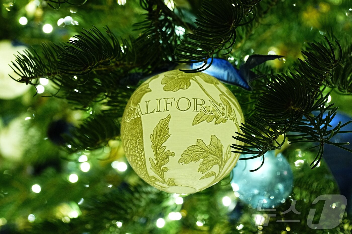 본문 이미지 - 2025년 백악관 크리스마스 장식 언론 공개 행사에서 선보인 백악관 블루룸의 크리스마스트리. 가지에 캘리포니아라고 쓰인 장식이 걸려 있다. 2025.12.01. ⓒ 로이터=뉴스1 ⓒ News1 권영미 기자