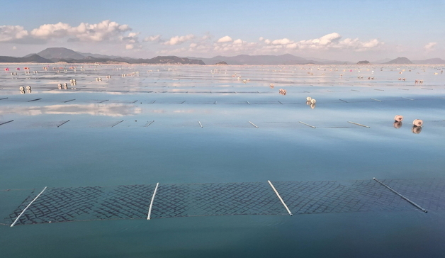 여수·고흥 '김 양식장 갈등' 해법 도출…권익위 중재 협업지침 마련