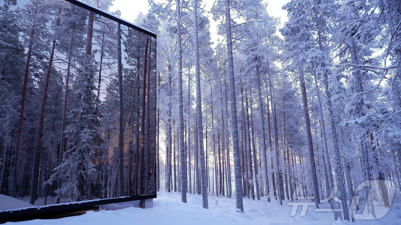 본문 이미지 - 올로리조트의 독채 캐빈 객실은 통창으로 이뤄져 있는데 밖에서는 안이 안보이는 특수 창문으로 이뤄져 있다.ⓒ News1 윤슬빈 관광전문기자