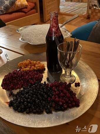 본문 이미지 - 갓 쌓인 눈을 잔에 담고 클라우드베리·빌베리 시럽과 진저비어를 섞어 만들어 먹는 스노우 칵테일ⓒ News1 윤슬빈 관광전문기자