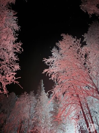 본문 이미지 - 레비의 밤ⓒ News1 윤슬빈 관광전문기자