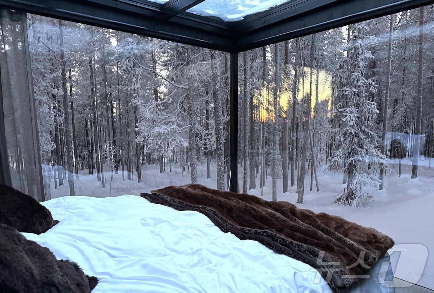본문 이미지 - 객실에서 감상하는 설원의 숲ⓒ News1 윤슬빈 관광전문기자