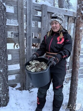본문 이미지 - 순록에게 주는 순록 이끼이다. ⓒ News1 윤슬빈 관광전문기자