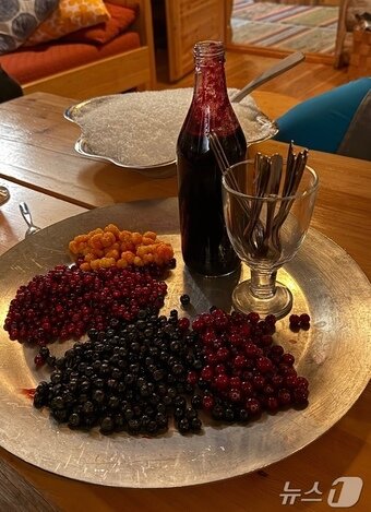 본문 이미지 - 스노우 베리 칵테일ⓒ News1 윤슬빈 관광전문기자