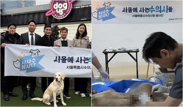 서울시수의사회, 번식장 구조견 의료봉사…"연말 따뜻한 손길"