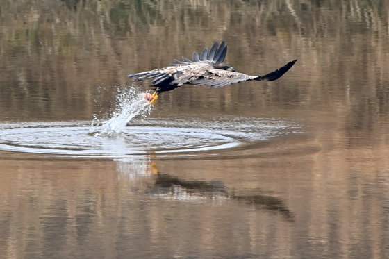 [오늘의 날씨]대구·경북(21일, 일)…낮 최고 3~8도로 '쌀쌀'