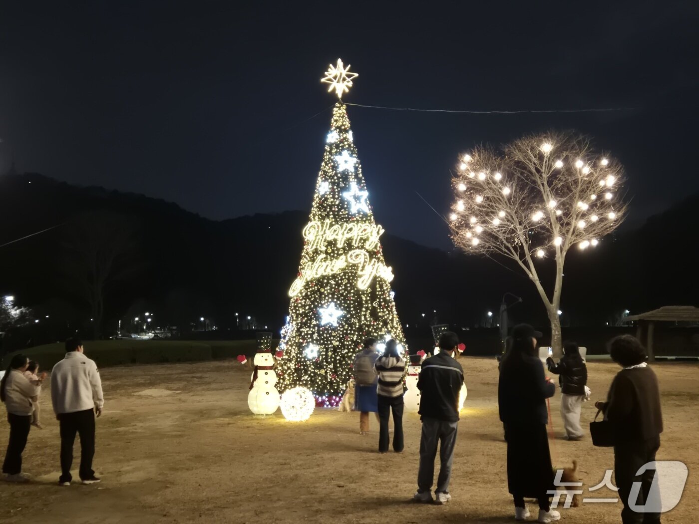 본문 이미지 - 20일 울산 중구 태화강 국가정원에서 시민들이 크리스마스 트리를 배경으로 사진을 찍고 있다. 2025.12.20/뉴스1ⓒ 뉴스1 박정현 기자