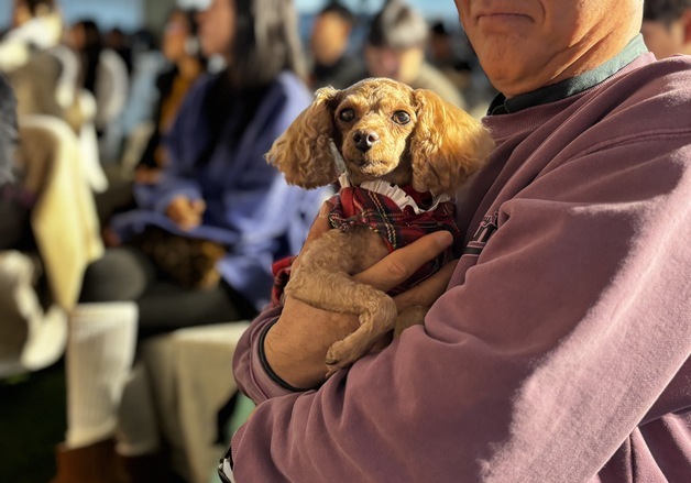 “너는 내 운명”…경기도 '반려마루 여주' 홈커밍데이 개최