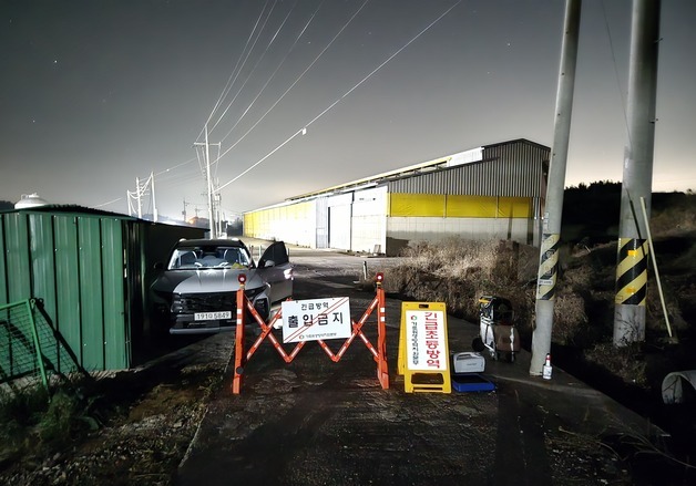 전남 나주 육용오리 농장서 'H5형 AI 항원' 검출