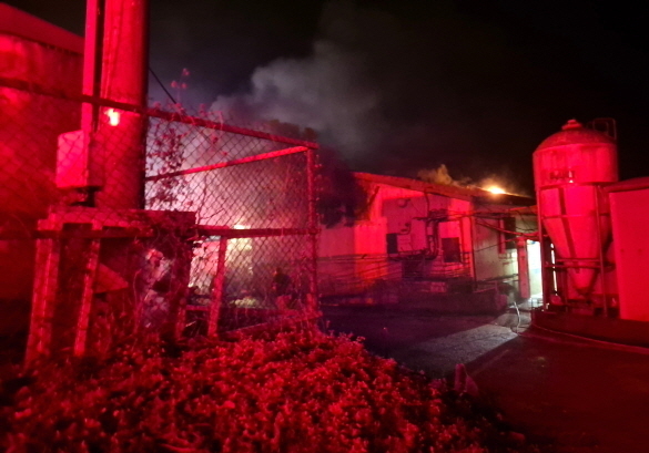 전북 임실 돈사서 불, 돼지 1320마리 폐사…2억2400만원 피해(종합)