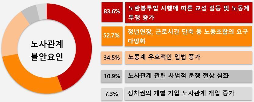 본문 이미지 - '2026년 노사관계 전망조사' 조사 내 2026년 노사관계 불안요인 설문 결과. (경총 제공) 