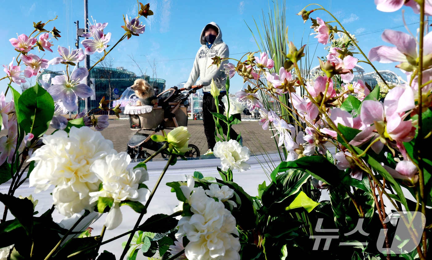 (서울=뉴스1) 이호윤 기자 = 21일 서울 서초구 반포한강공원에서 열린 2025 한강페스티벌 '봄ON한강'을 찾은 시민들이 봄꽃 에어돔을 둘러보고 있다. 2025.12.21/뉴스 …