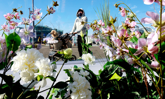겨울에 즐기는 봄꽃놀이