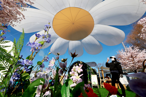 봄꽃이 찾아온 한강공원