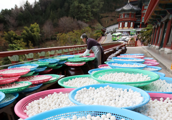 하루 앞둔 절기 동지