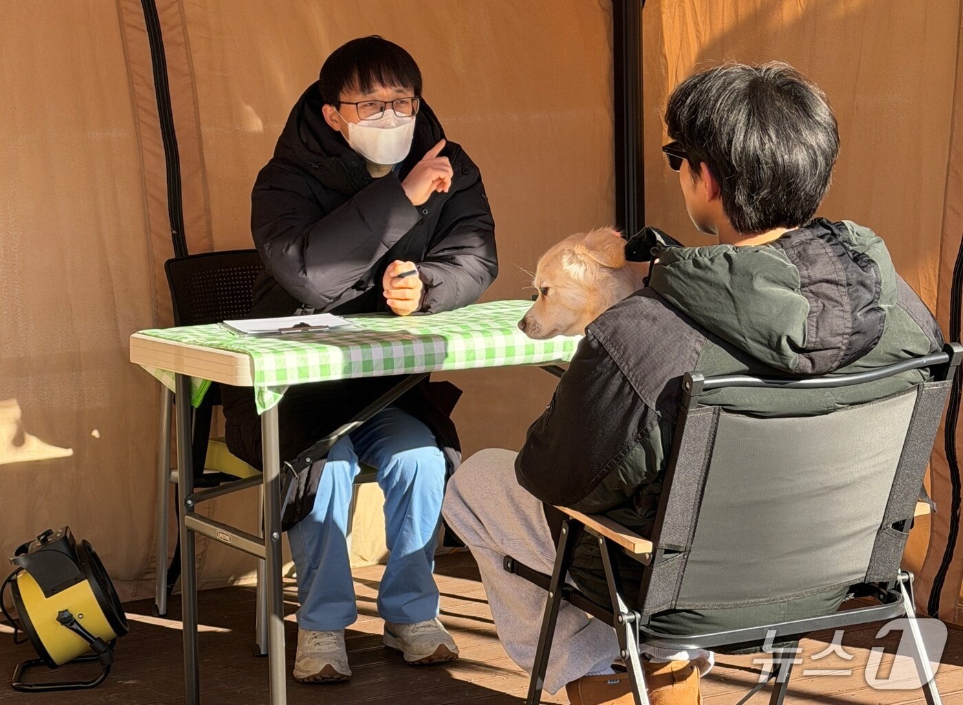 본문 이미지 - 마포구 김성구 워너비동물병원 원장이 21일 난지한강공원 반려동물캠핑장에서 반려견 건강상담을 하고 있다(서울시수의사회 제공). ⓒ 뉴스1