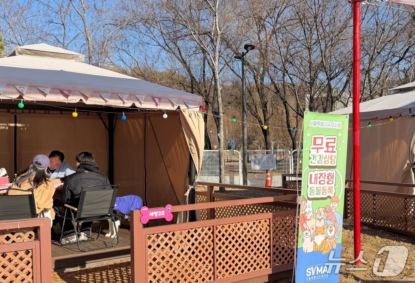 본문 이미지 - 수의사가 21일 난지한강공원 반려동물캠핑장에서 건강상담을 하고 있다(서울시수의사회 제공). ⓒ 뉴스1