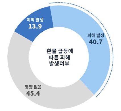 본문 이미지 - <환율 급등에 따른 피해 유형>