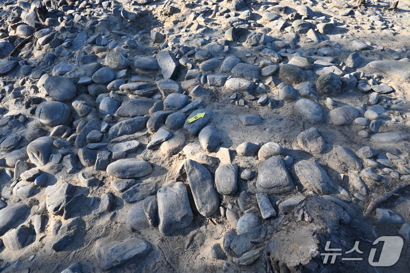 본문 이미지 - 묘곽 모습.(강릉시 제공, 재판매 및 DB 금지) 2025.12.22/뉴스1