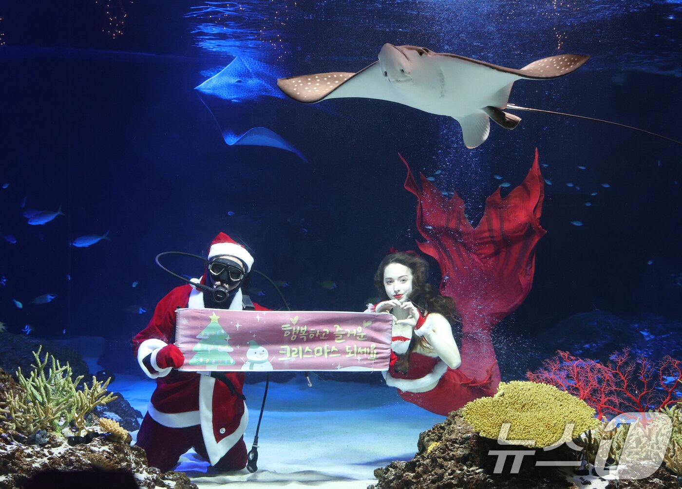 본문 이미지 - 크리스마스를 사흘 앞둔 22일 경기 수원시 영통구 아쿠아플라넷 광교에서 산타 의상을 입은 아쿠아리스트들이 크리스마스 인사를 하고 있다. 2025.12.22/뉴스1 ⓒ News1 김영운 기자